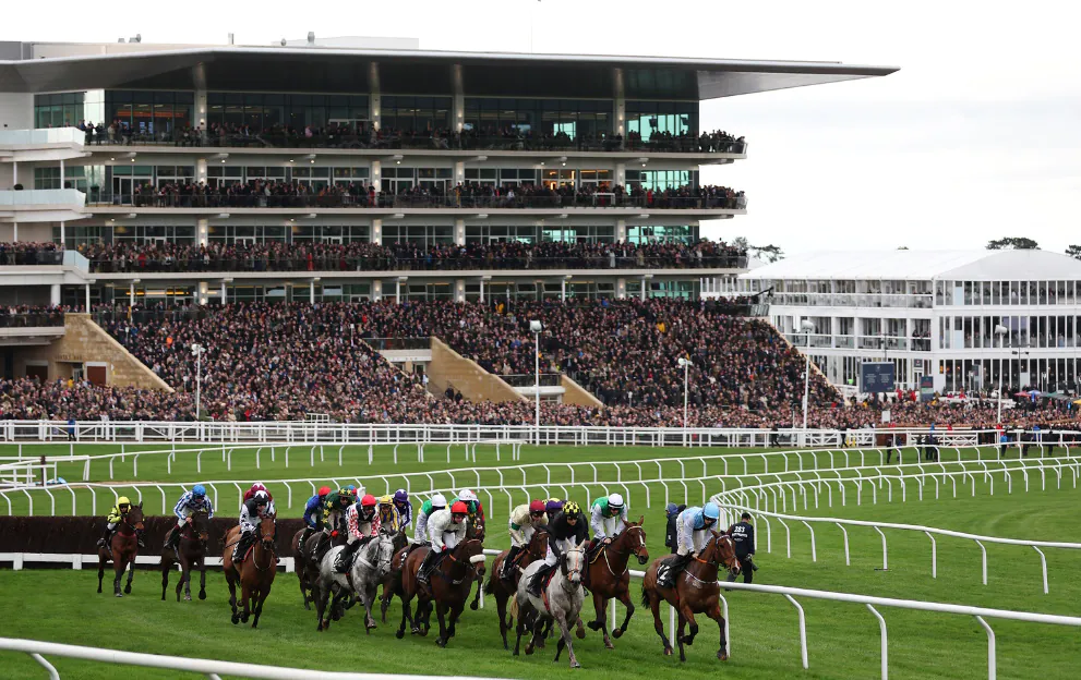 Cheltenham Festival horse race